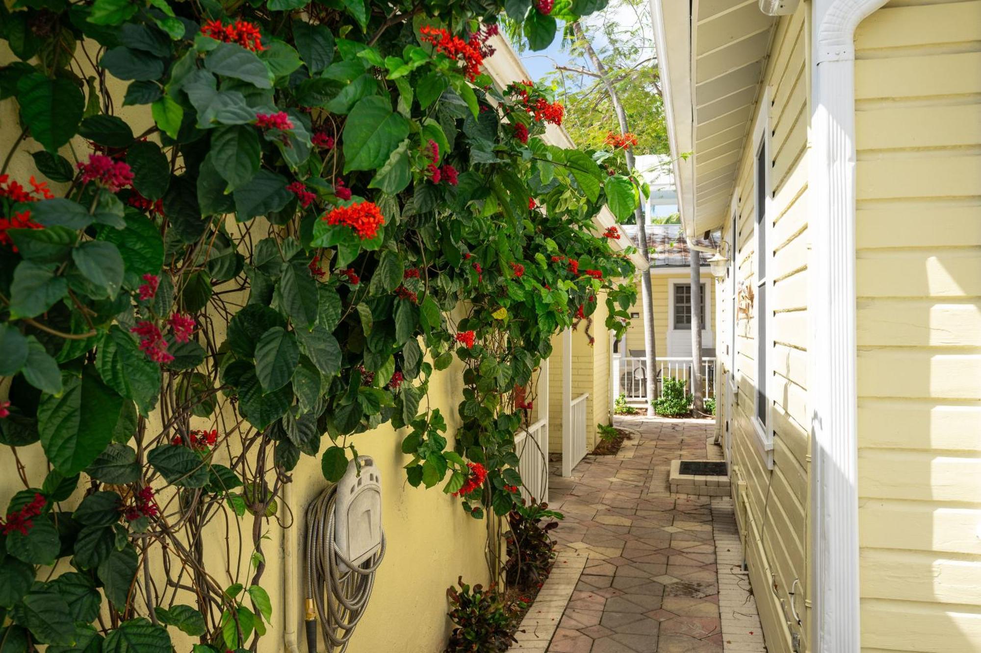 The Cozy Little Cottage Key West Esterno foto